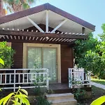 ホームステイ Apella Çıralı