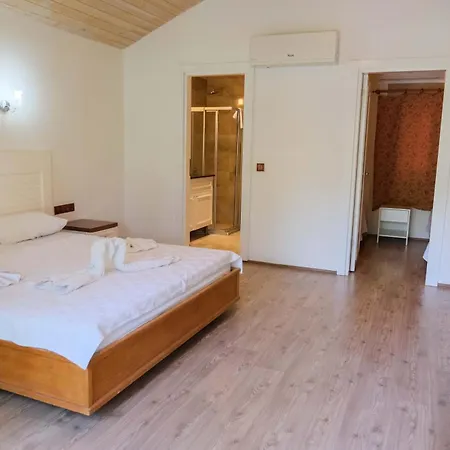 Apella 3*
