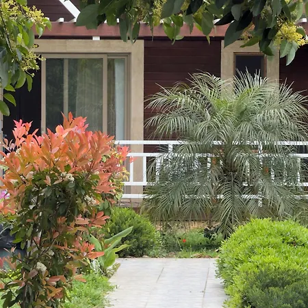 Apella Hotel Homestay