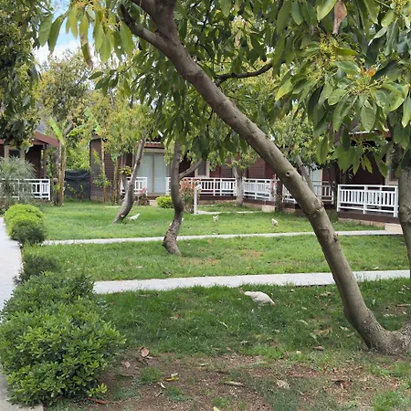 Homestay Apella Hotel *