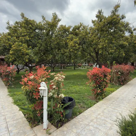 Apella Hotel Homestay Cirali