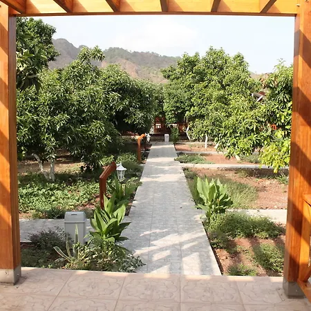 Habitación en casa particular Apella Çıralı