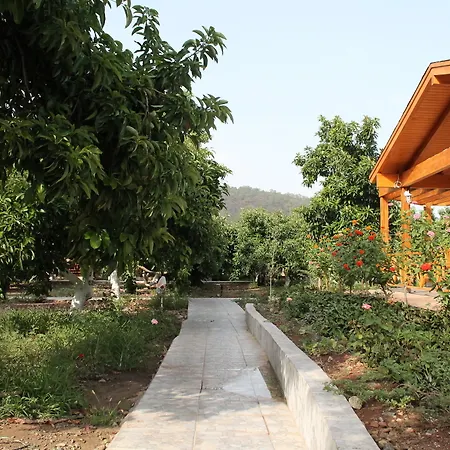 Apella Habitación en casa particular Çıralı