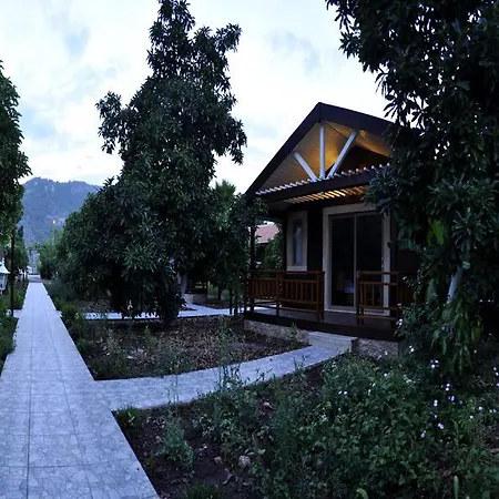 Habitación en casa particular Apella Çıralı