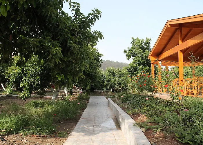 Apella Privat bolig Çıralı