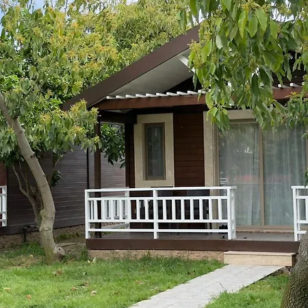 Apella * Çıralı